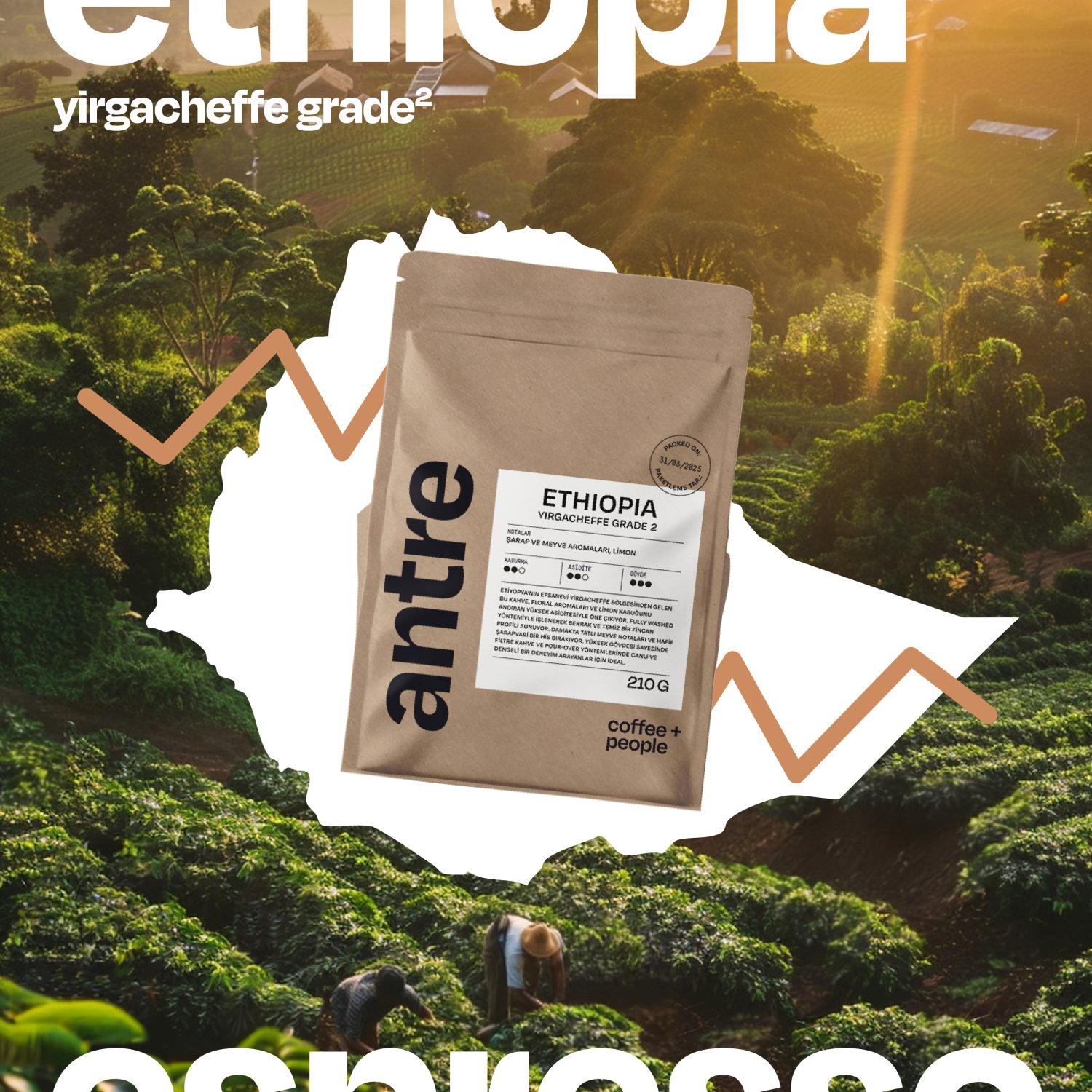 Ethiopia Yirgacheffe Grade 2 Çekirdek Kahve – 210g | Yıkanmış, Floral & Limon Notalı